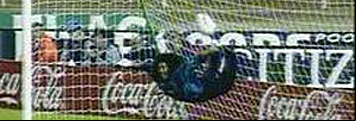 Ver v